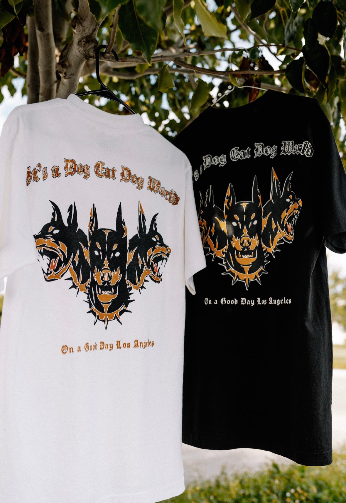 Dog Eat Dog Black